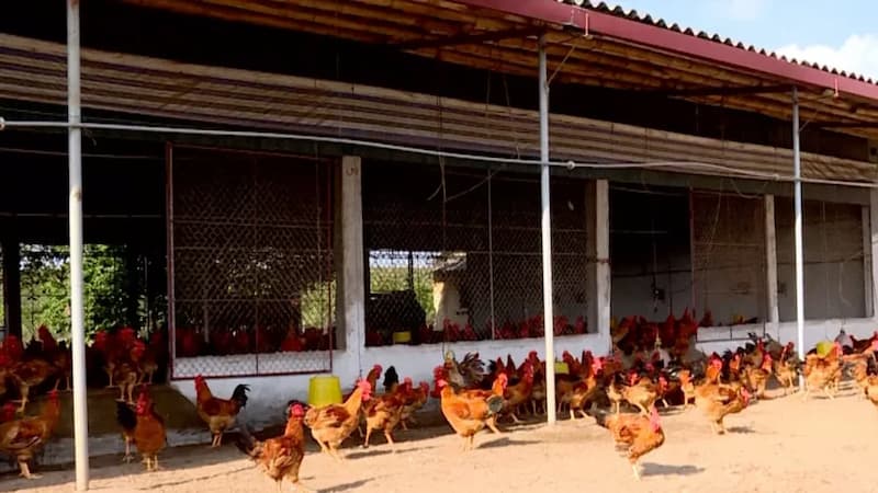 Hệ thống thông gió và ánh sáng khoa học
