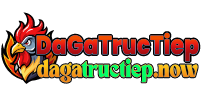 Đá gà trực tiếp