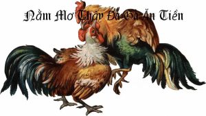 Mơ thấy hai con gà đá nhau ác liệt