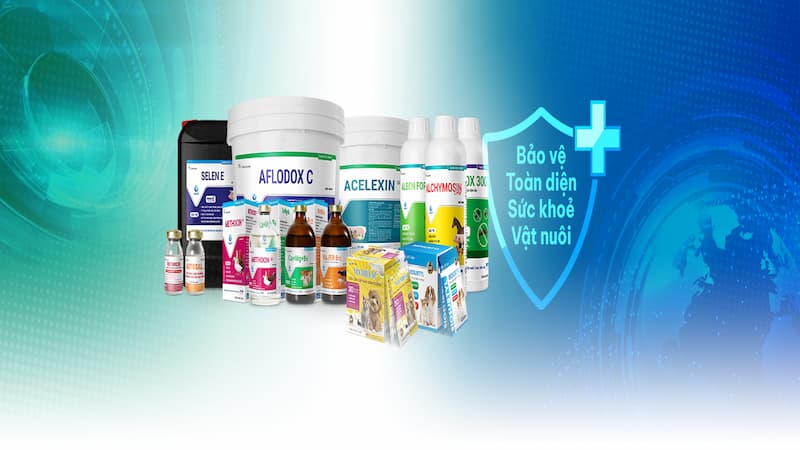 Thuốc kích thích ăn uống chuyên dụng